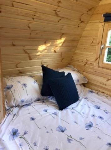 Pen Y Buarth Pod - Caravan Site 카나번 외부 사진